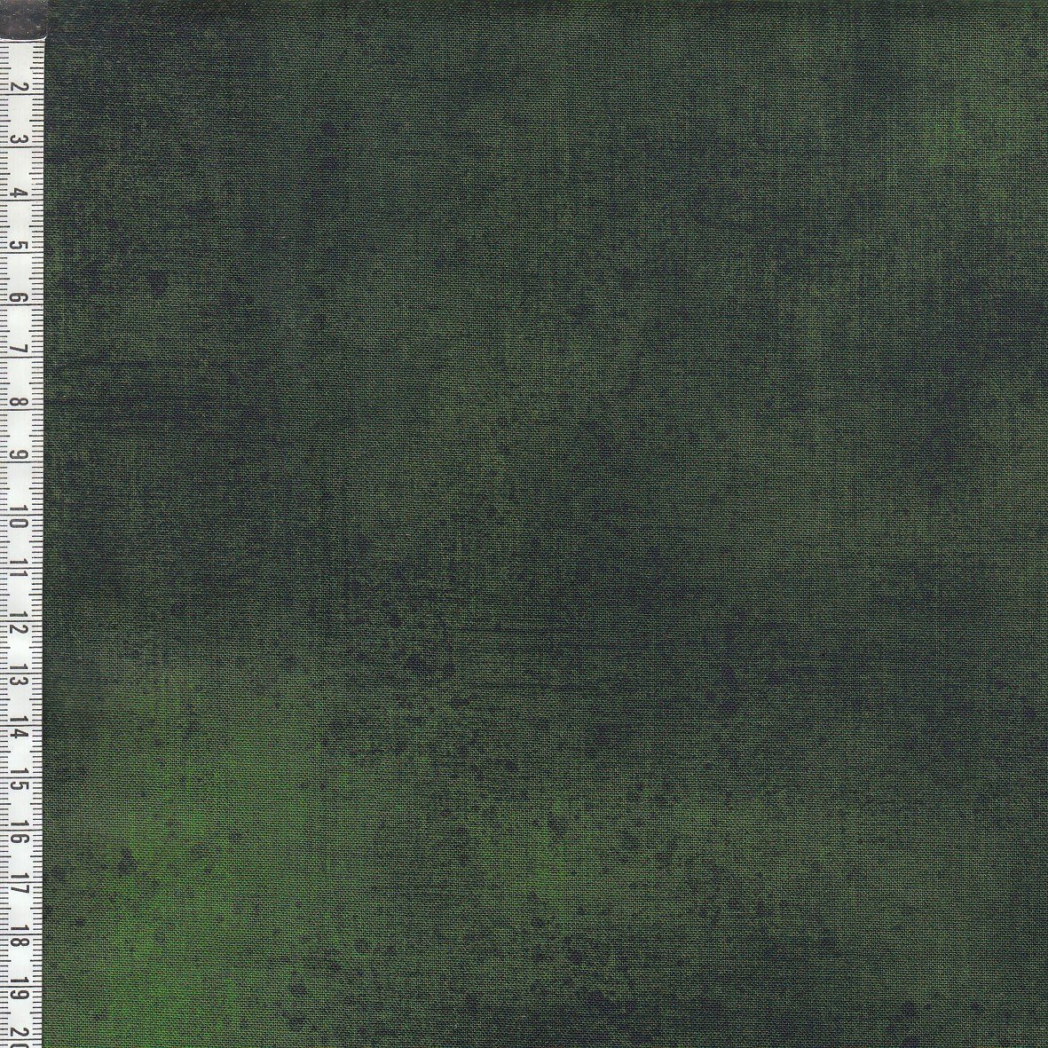 Gesso - Forest