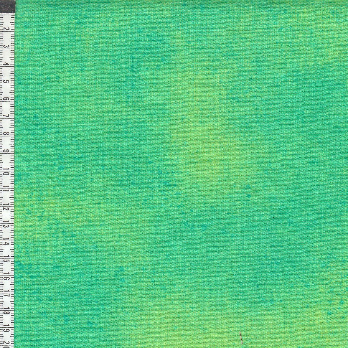 Gesso - Parakeet