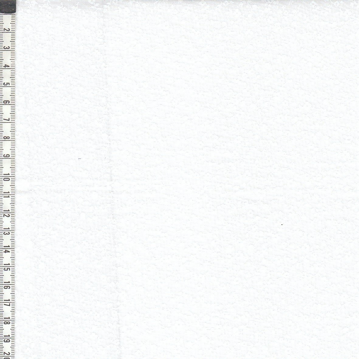 Wineyard Floral white
