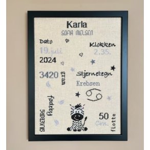 F�dselsminde - Zebra