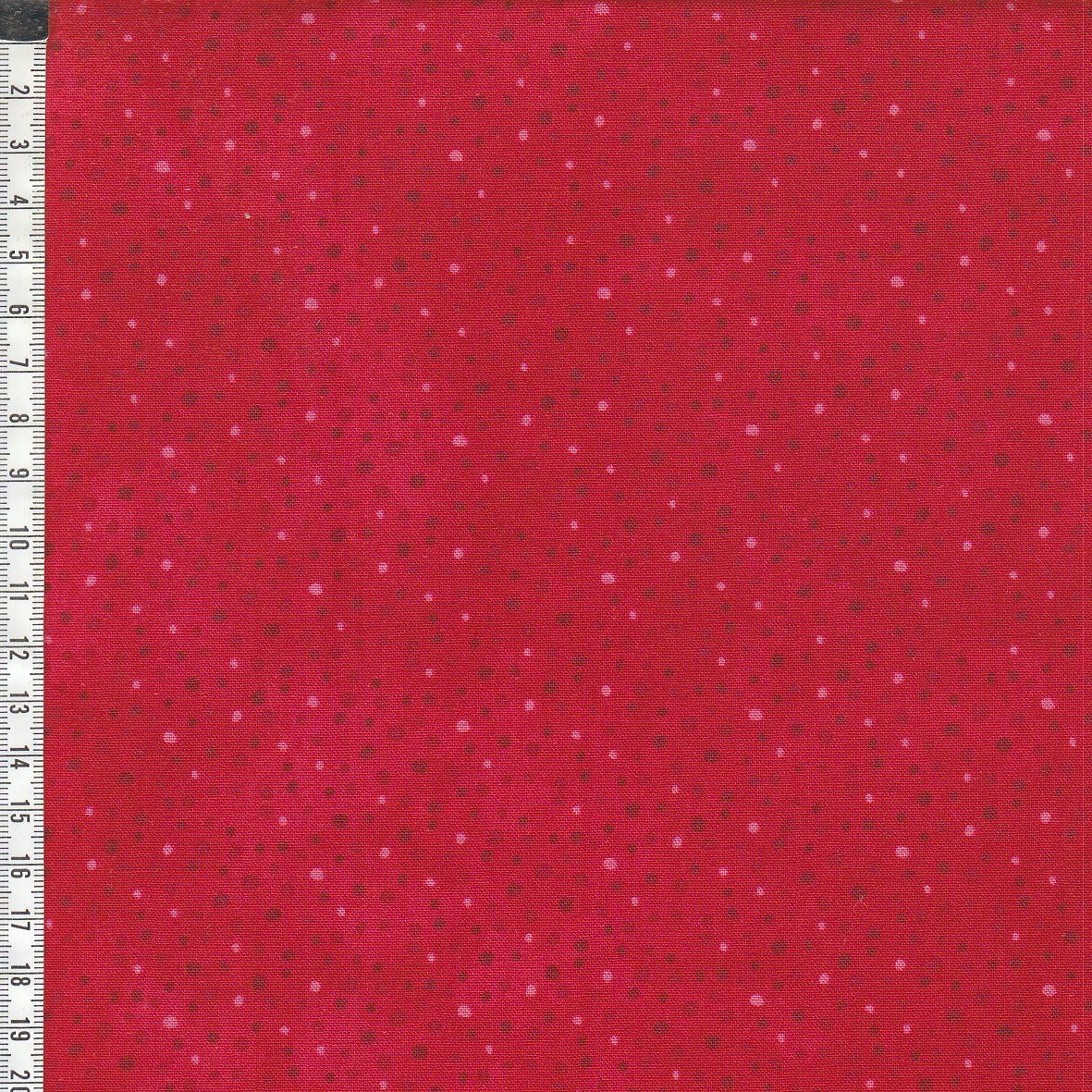 Essentials - Petite Dots