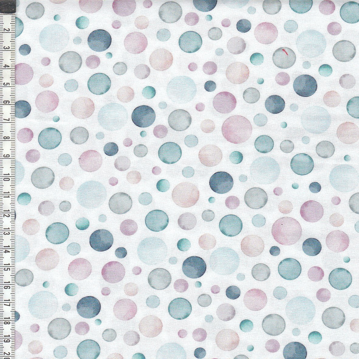 Let�s Go on an Adventure