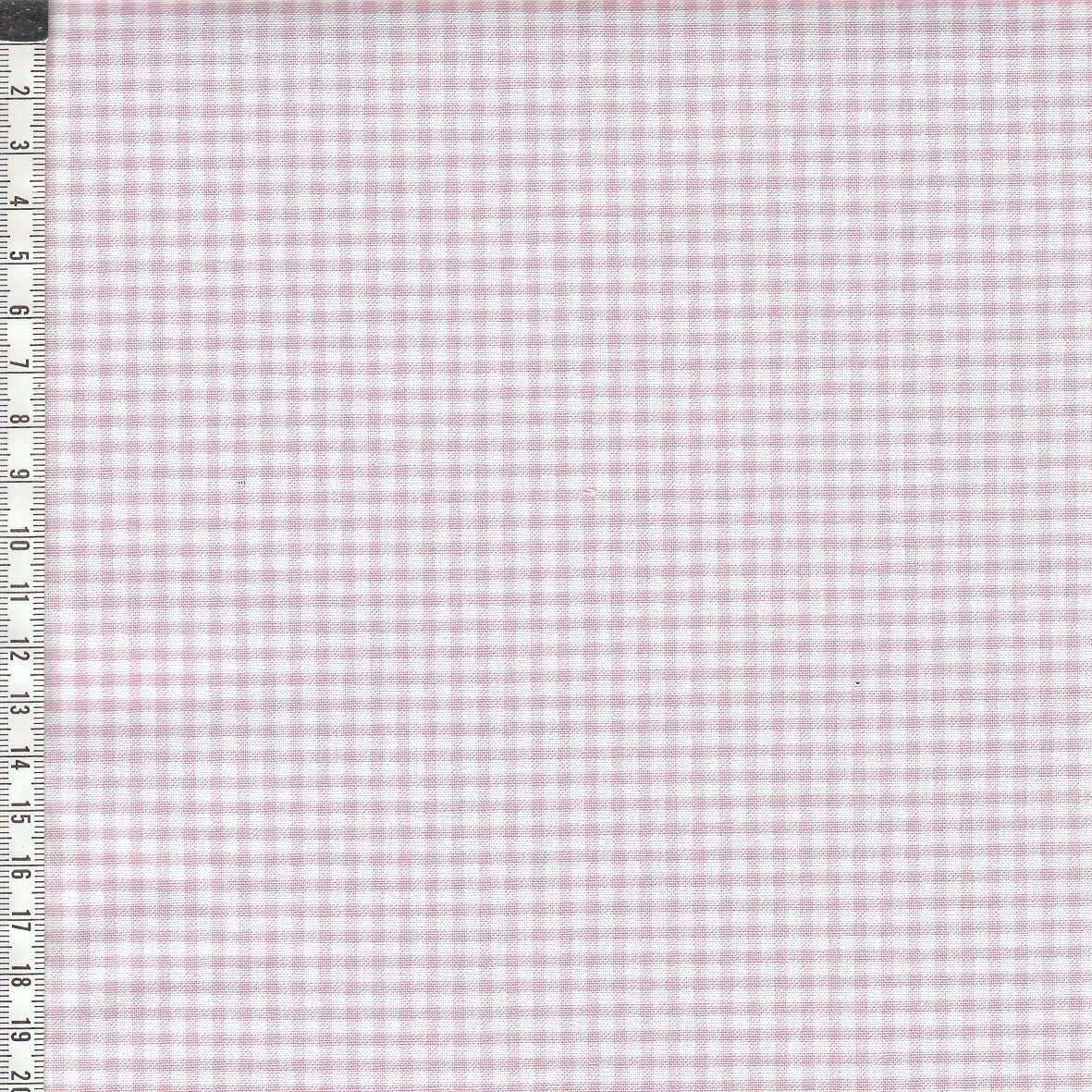 Nest - Rosa tern