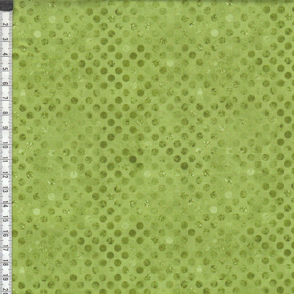 Codici - Cactus