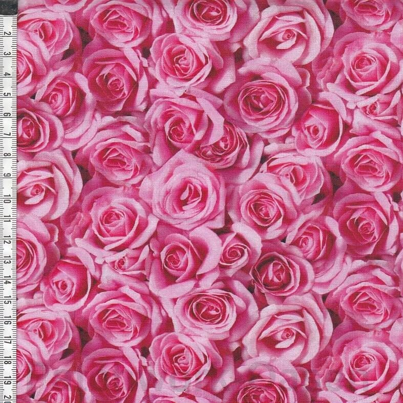 Budding Romance - Roses