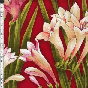 Flower Festival - Iris