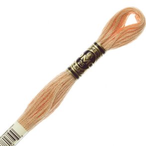 DMC Moulin - Fv. 3856