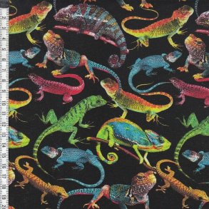 One of a Kind - reptiles