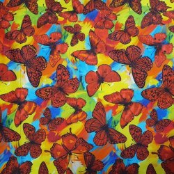 Rainforest - Butterfly Magic