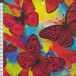 Rainforest - Butterfly Magic