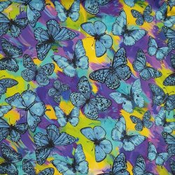 Rainforest - Butterfly Magic