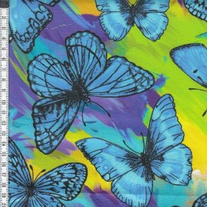 Rainforest - Butterfly Magic