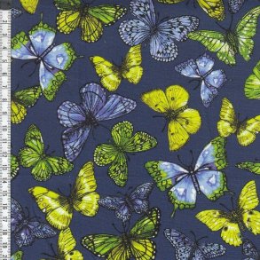 Rainforest - Butterfly Magic