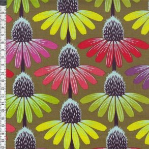 Echinacea Glow - Autumn Love Always