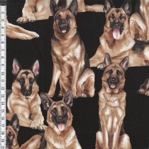 Dog Show - Schfer hund