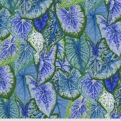 Kaffe Fassett - Caladiums